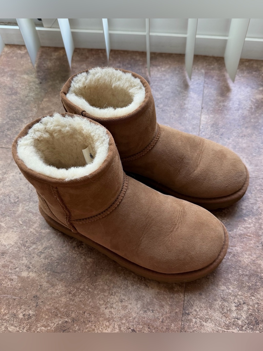 UGG Mini Chestnut Boots II